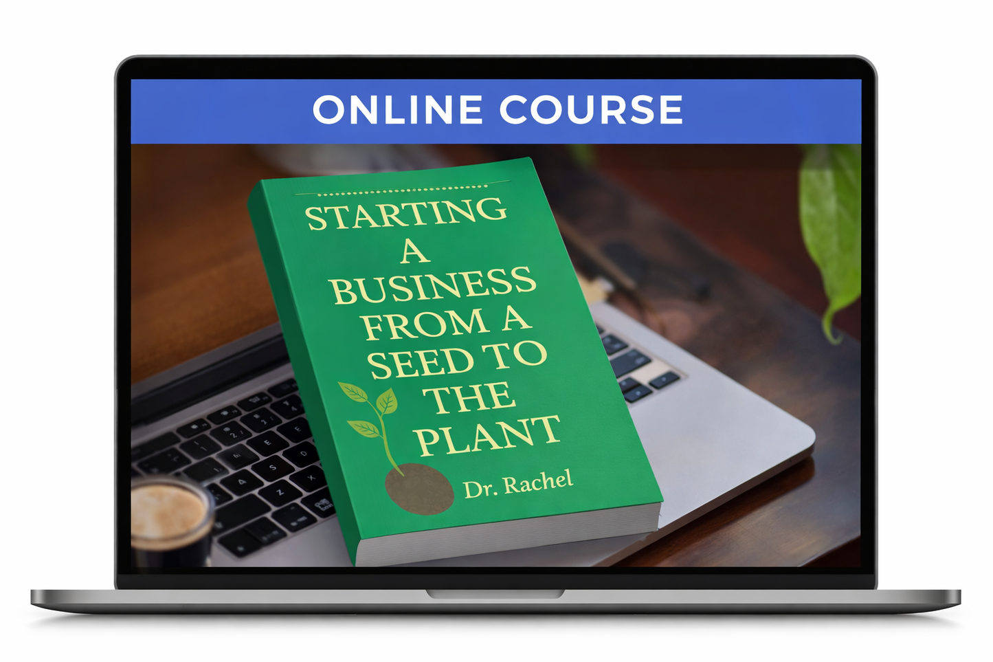 Starting A Business From a Seed to the Plant (Online Guided Course)
